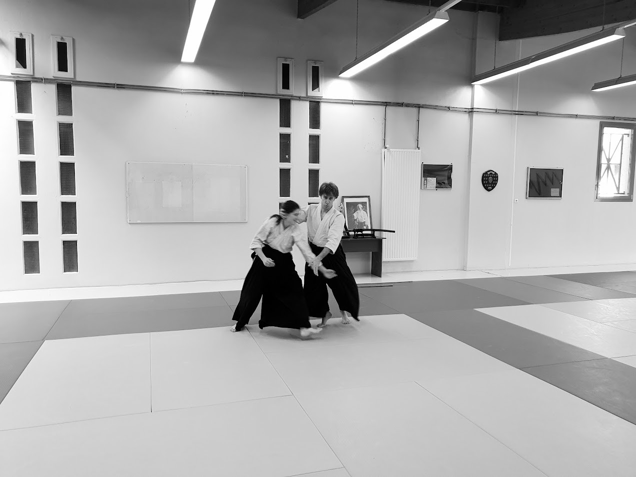 Hommage Tamura Sensei Le Vaudreuil 07