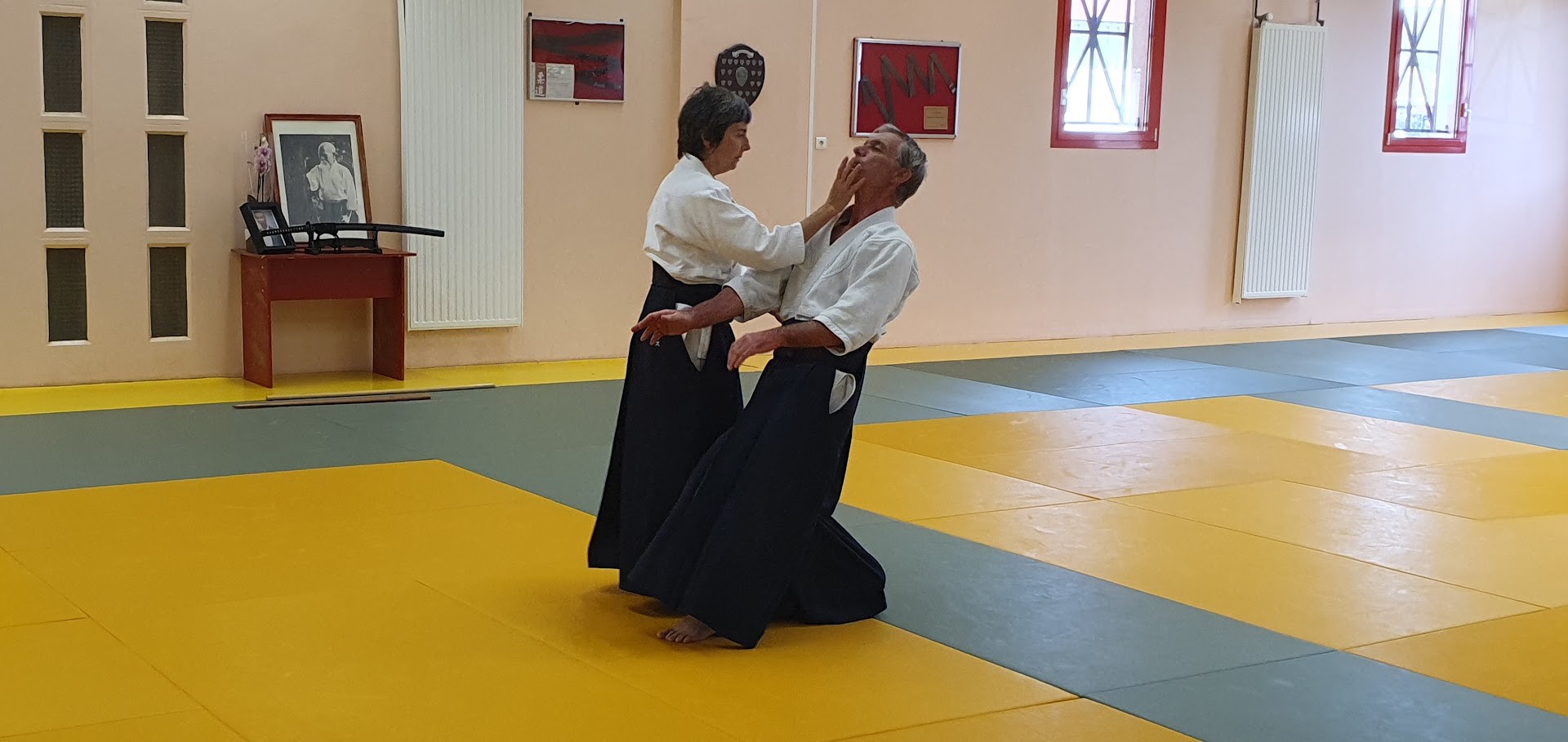 Hommage Tamura Sensei Le Vaudreuil 05
