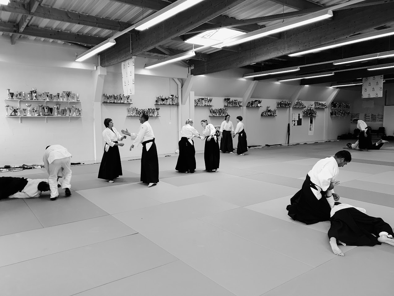 Hommage Tamura Sensei Le Vaudreuil 20