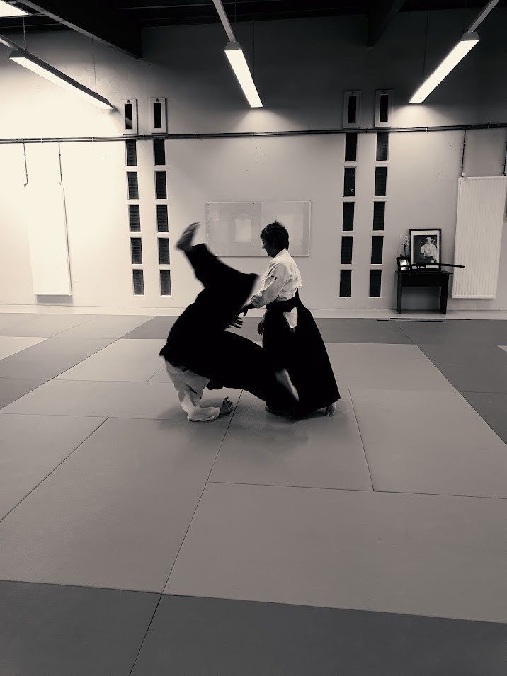 Hommage Tamura Sensei Le Vaudreuil 21