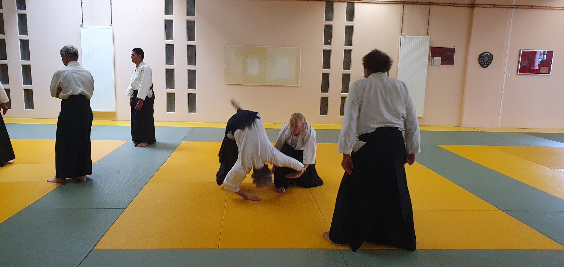 Hommage Tamura Sensei Le Vaudreuil 28