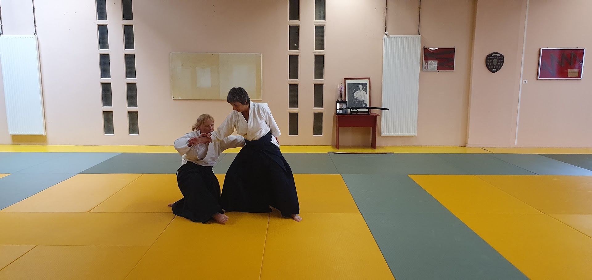 Hommage Tamura Sensei Le Vaudreuil 29