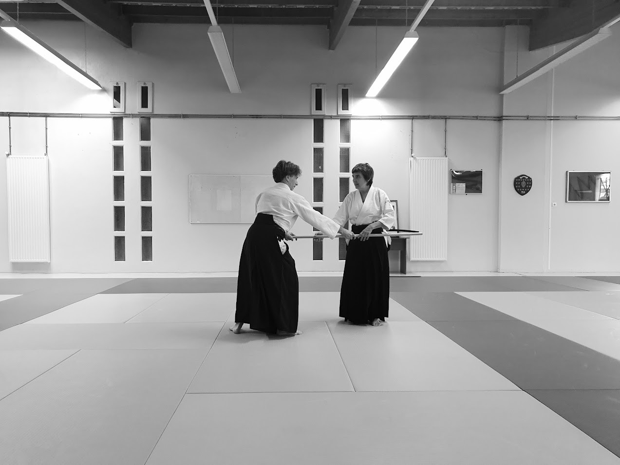 Hommage Tamura Sensei Le Vaudreuil 30