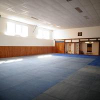Ob 6a4c3e dojo rene vdb